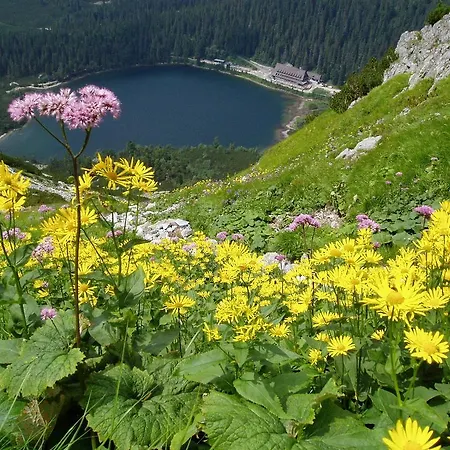 Fantazia - Self Check-in Гостевой дом 3*